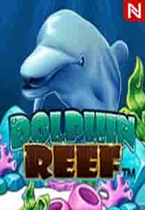 DOLPHIN REEF